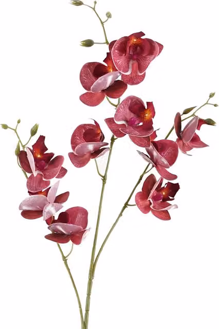Dark Pink Artificial Mini Orchid Stem with Leaf, Height: 80 cm