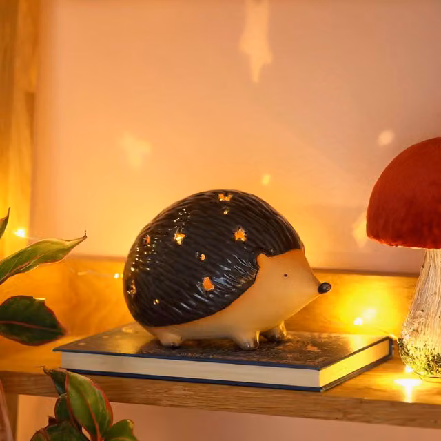 Lisa Angel Mr Prickles LED Hedgehog Ceramic Light in Brown