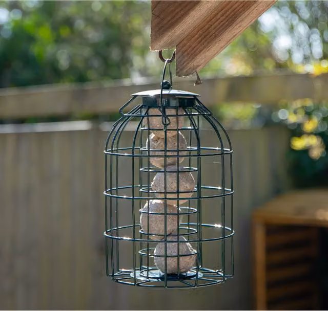 Samuel Alexander Metal Hanging Bird Fat Ball Feeder with Squirrel Guard, Green