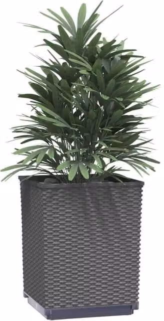 Berkfield Home Black Polypropylene Planter Tub, 2 Pack, W/D/H: 30 x 30 x 37 cm