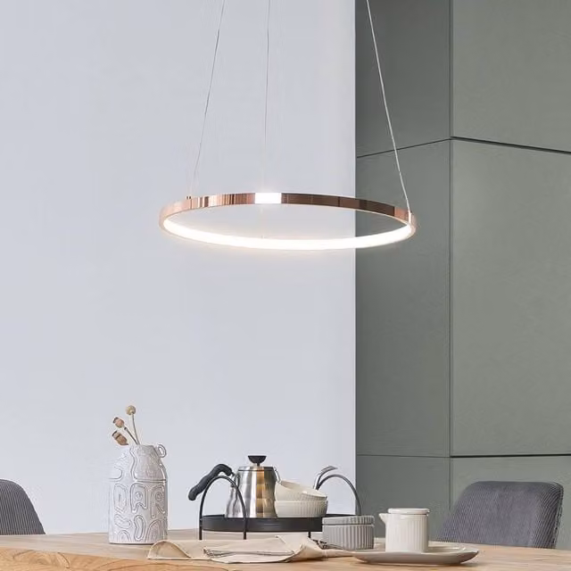Wyld and Coco Gold Aluminium LED Ring Pendant Lamp, Diameter: 50 cm – 1