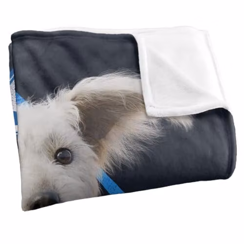 LOGOVISION Superman 2025 Krypto Diamond Silky Touch Super Soft Throw Blanket, White, W/D/H: 152 x 127 cm – 2