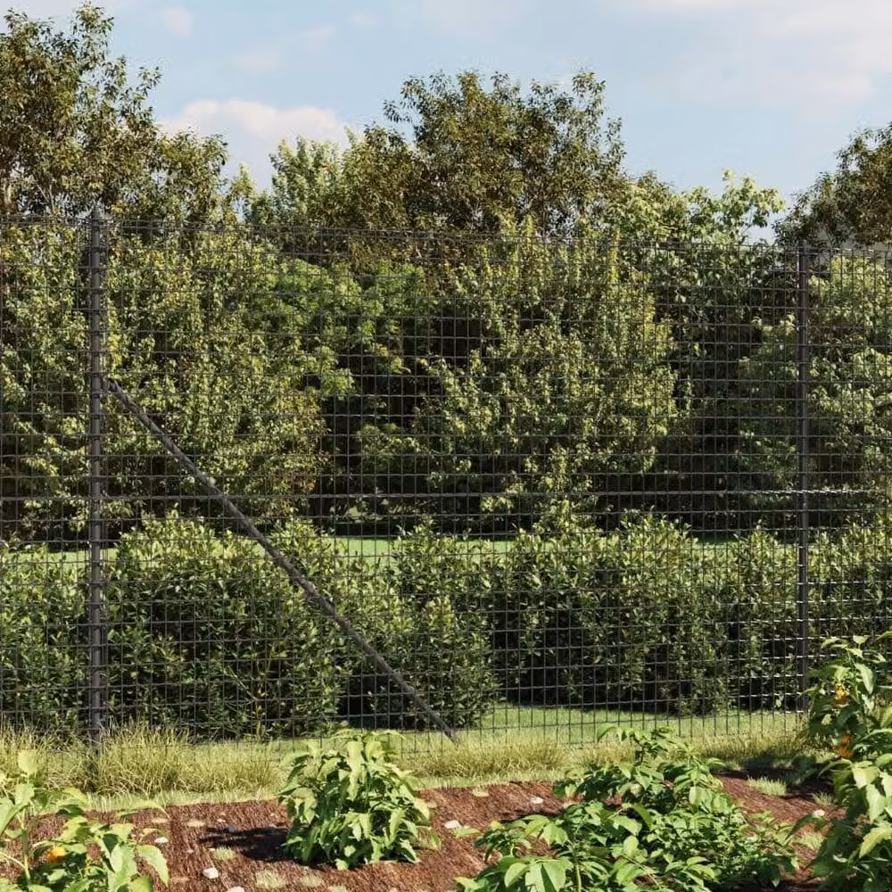 Berkfield Home Durable PVC-Coated Galvanised Steel Wire Mesh Fence in Anthracite Black, 2 m x 25 m – 1