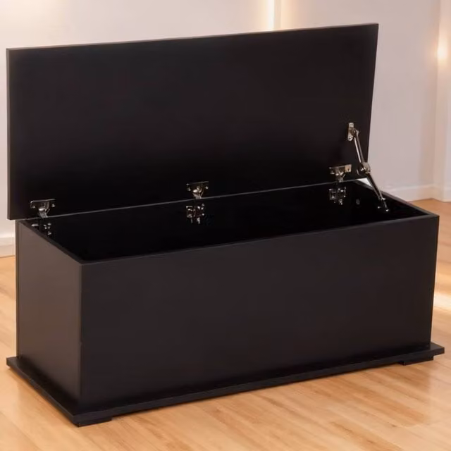 ERGOVEXA 113L Storage Chest in Black, W/D/H: 100 x 40 x 40 cm – 1