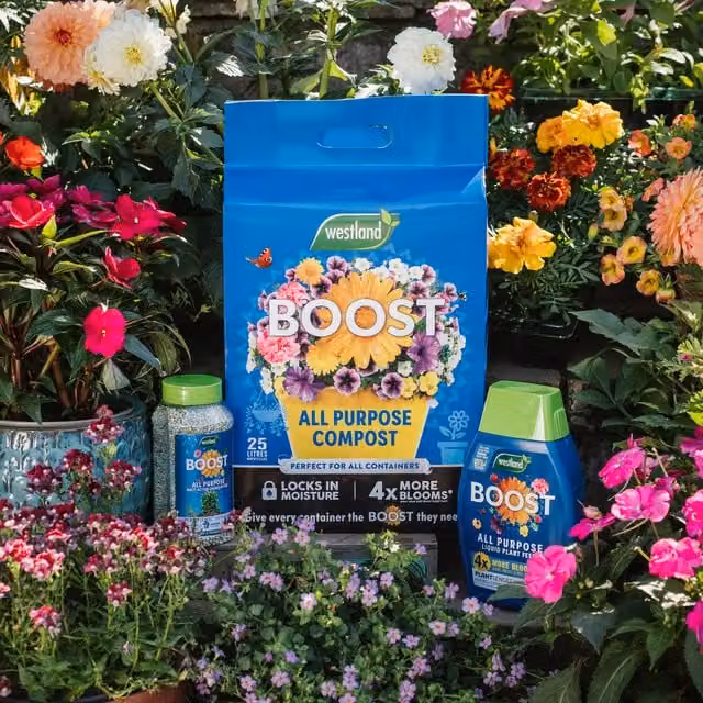 Westland Boost Peat Free Potting Soil, 25 l, Blue