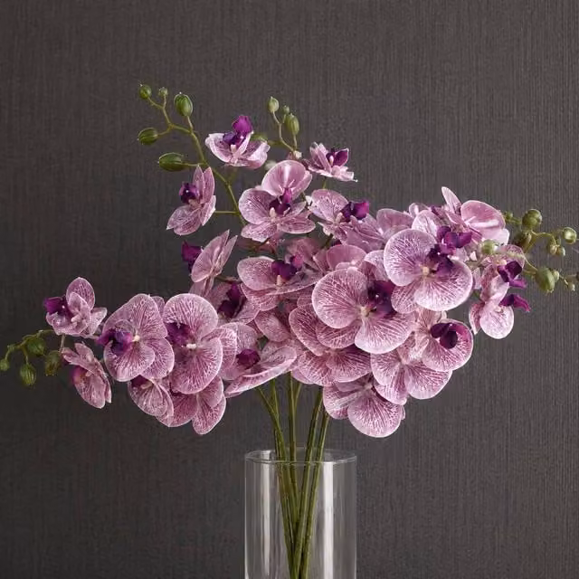 Botanik Leaf Purple Phalaenopsis Orchid Artificial Stem Flowers, Pack of 6, Height: 100 cm