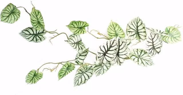 Realistic Alocasia Artificial Trailing Hanging Plant in Light Green