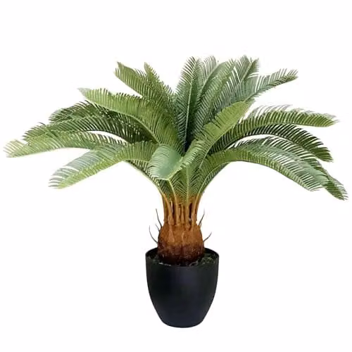 Botanik Green Potted Artificial Tropical Palm Plant, Height: 70 cm