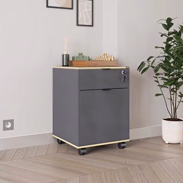 FWStyle Lockable Mobile Office Storage Cabinet with 1 Door and 1 Drawer in Anthracite Grey