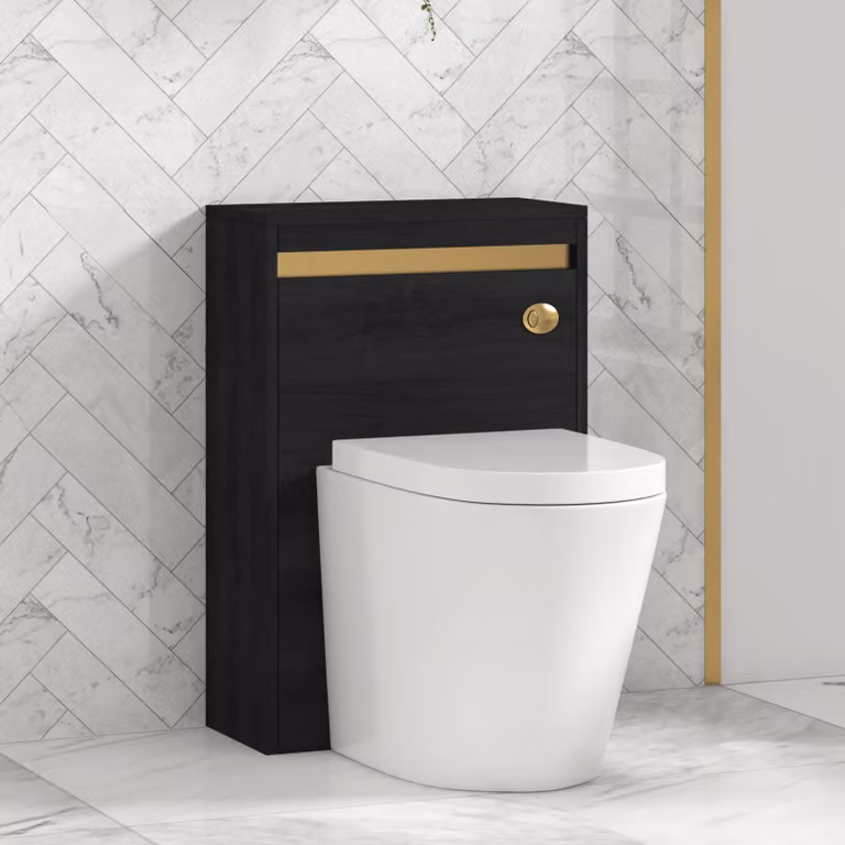 Royal Bathrooms Orion Hale Black BTW WC Unit with Cesar Rimless Toilet Pan, Seat and Cistern, Brushed Brass Accent Trim, Width: 54 cm