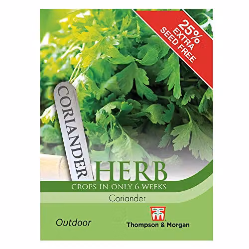 Thompson and Morgan Coriander Herb Seeds, 150 Seeds