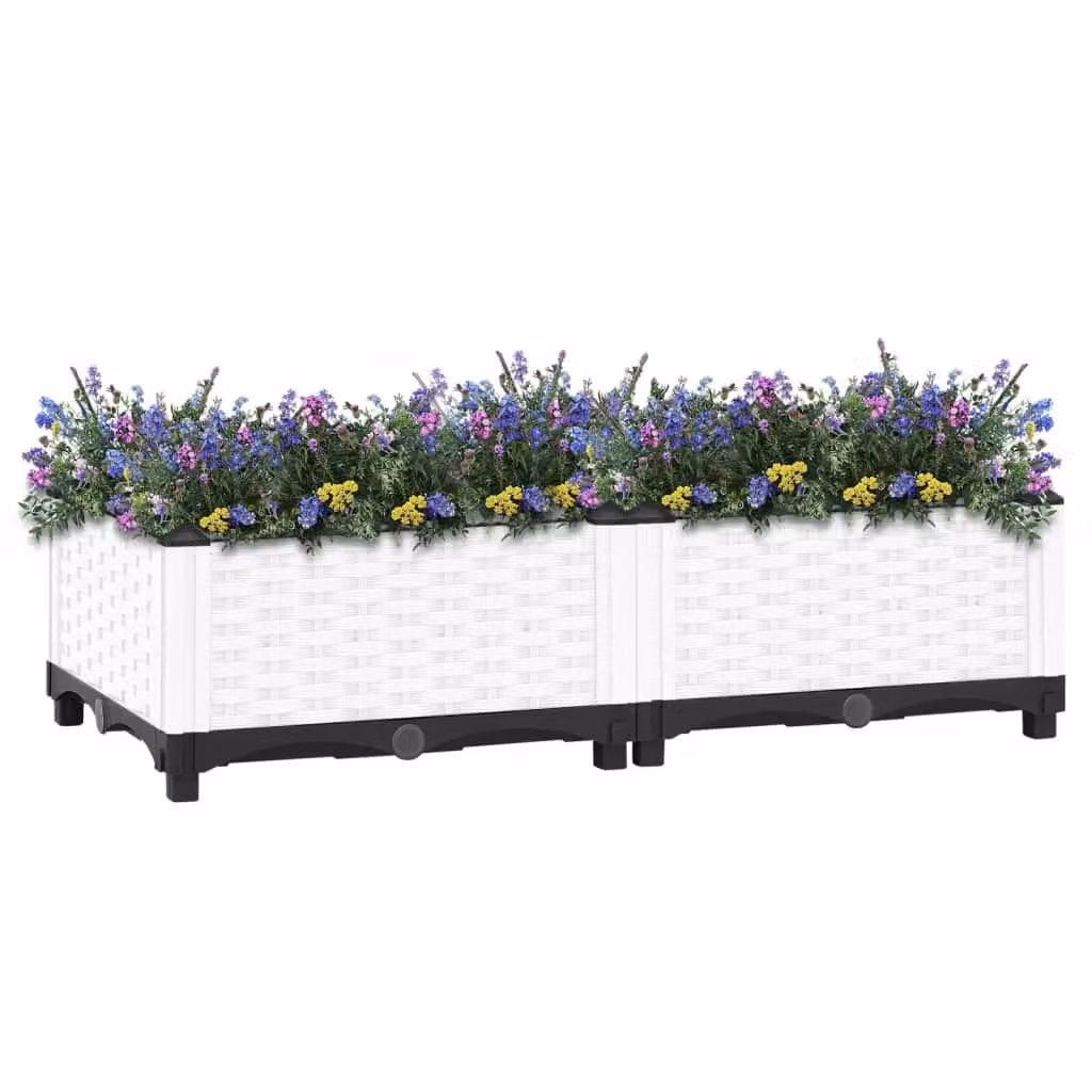 Berkfield Home White Polypropylene Raised Bed W: 80 cm, D: 40 cm, H: 23 cm – 2