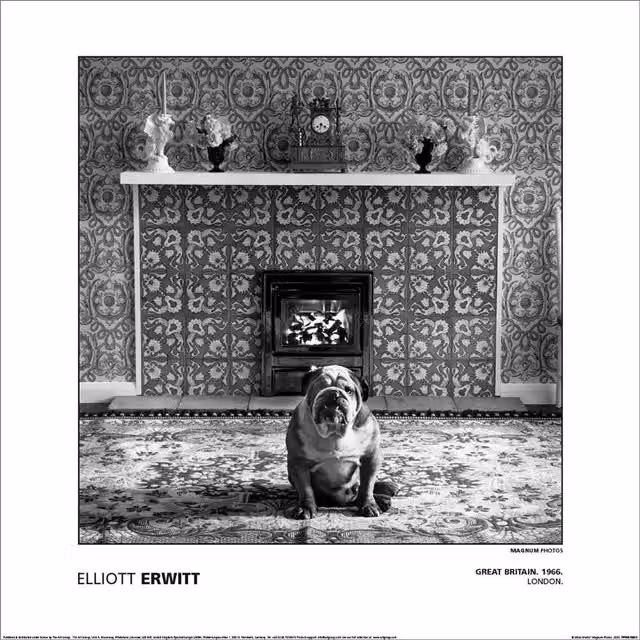 Magnum Elliot Erwitt Great Britain London 1966 Paper Poster in Grey
