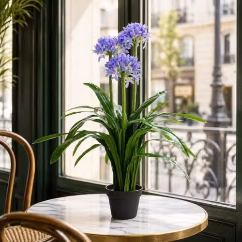 Botanik Premium Artificial Blue Agapanthus Lily with Potted Base, Height: 90 cm – 2