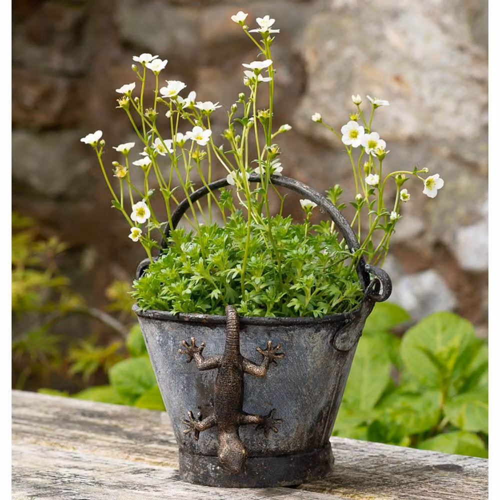 Jardinopia Antique Bronze Gecko Pot Buddy Hanging Plant Pot Hanger – 5