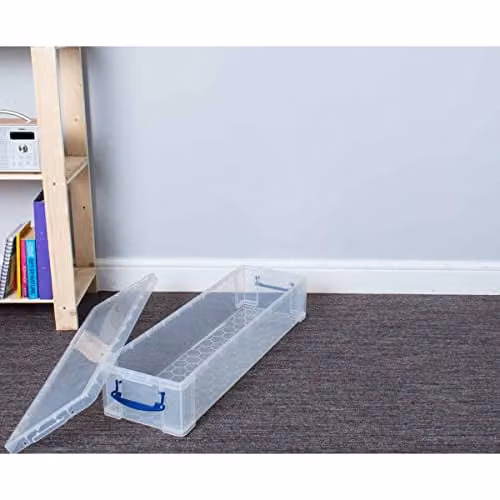 Really Useful Box 22 Litre Plastic Storage Box in Transparent with Lid and Handles – 2