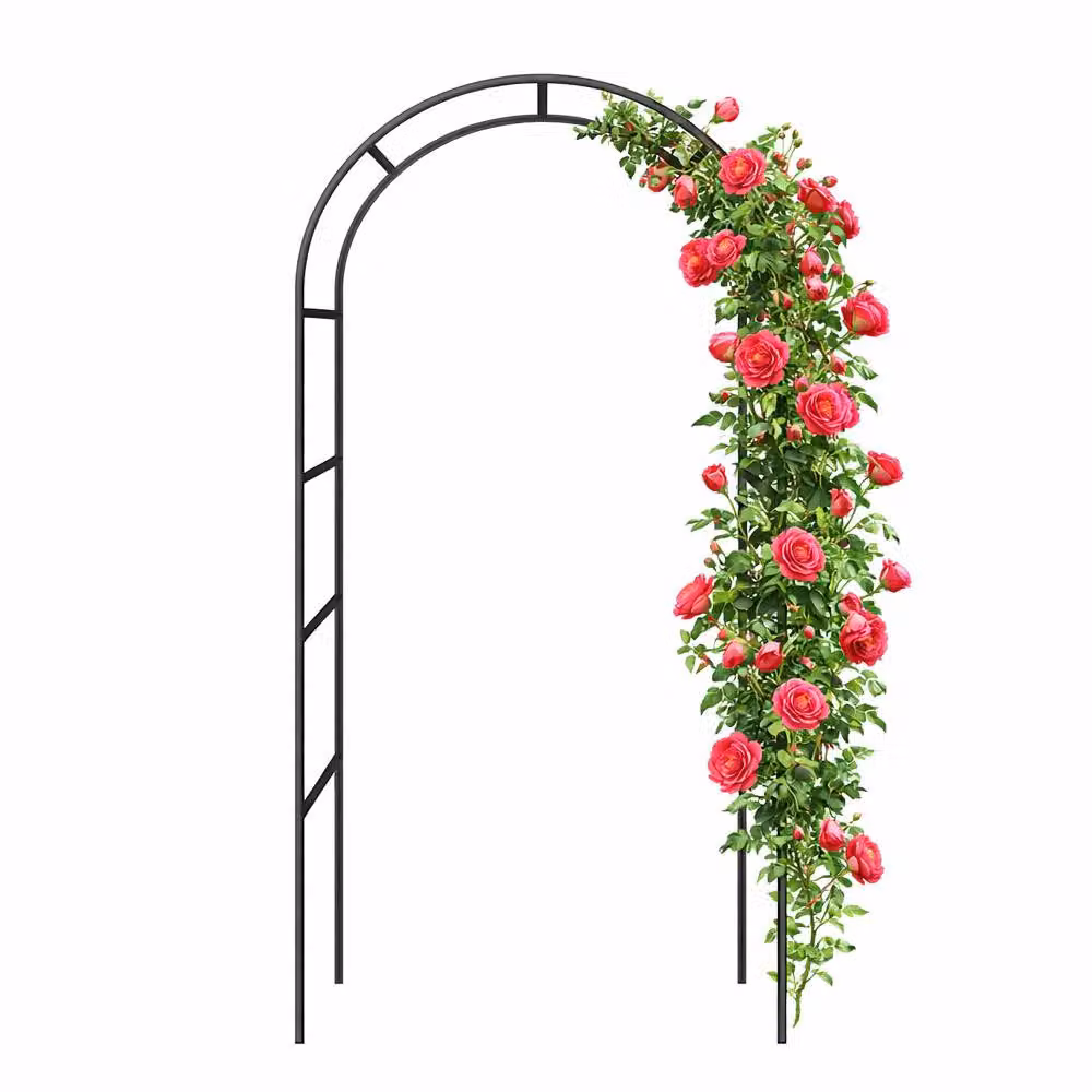 Voltico Metal Garden Rose Arch Black Outdoor Climbing Frame Height: 240 cm – 2