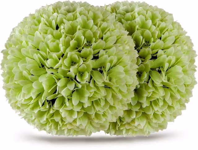 COSTWAY 2 Pack Green Artificial Round Plant Topiary Balls