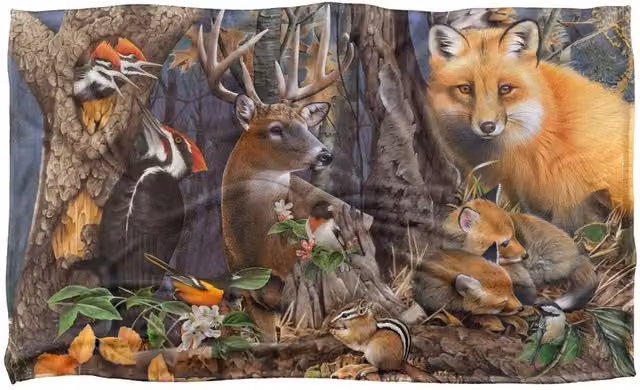 JQ Licensing Forest Animals Silky Touch Super Soft Fleece Throw Blanket, Multicolour, W/D/H: 91 x 147 cm – 3