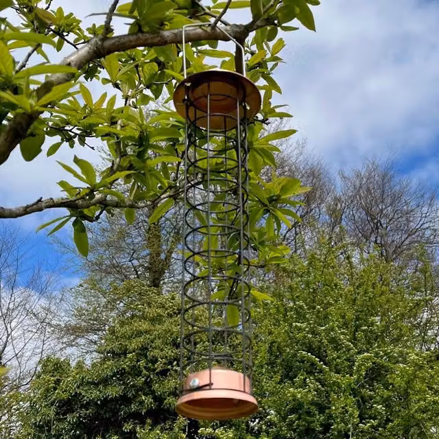 Large Bronze Metal Hanging Bird Suet Fat Ball Feeder