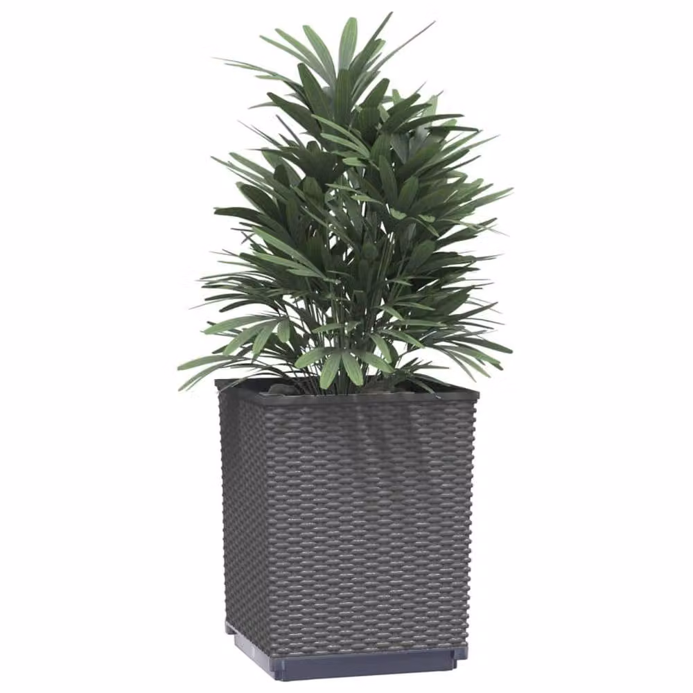 Berkfield Home Set of 4 Black Polypropylene Planter Tubs, W/D/H: 30 x 30 x 37 cm – 3