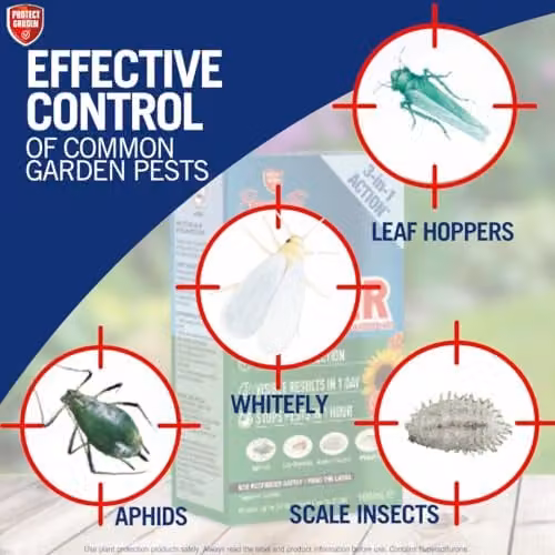 Provanto Smart Bug Killer 3-in-1 Insect Pest Control Concentrate for Ornamental, Indoor and Vegetable Gardens, 100ml Makes 37.5L – 4