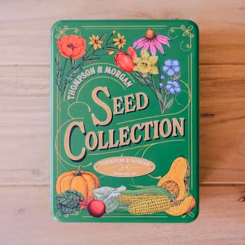 Thompson & Morgan Multicolour Metal Seed Tin Storage Box, W: 21.4 cm, D: 15.7 cm, H: 5.5 cm