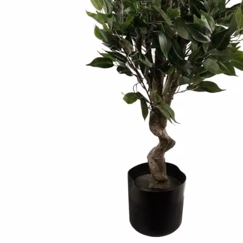 Leaf Design UK Artificial Evergreen Ficus Tree with Gold Planter, Green, Height: 110 cm – 2