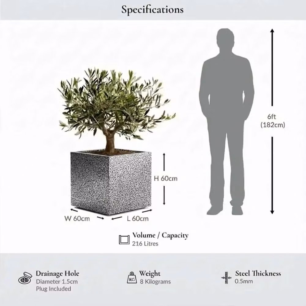 Tulipy Galvanised Steel Square Planter Tub in Silver and Black, W: 60 cm, D: 60 cm, H: 60 cm – 3