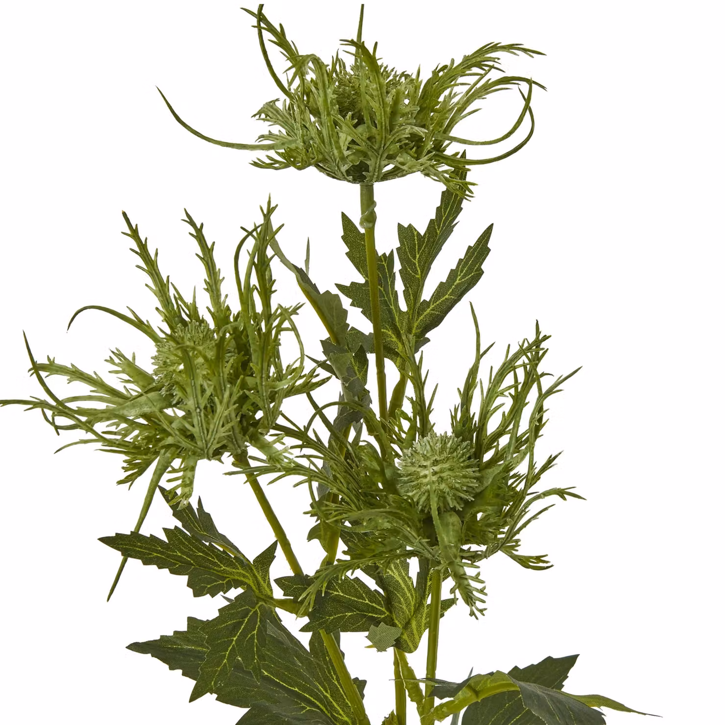 Hill Interiors Sea Holly Artificial Flower Spray in Green – 2