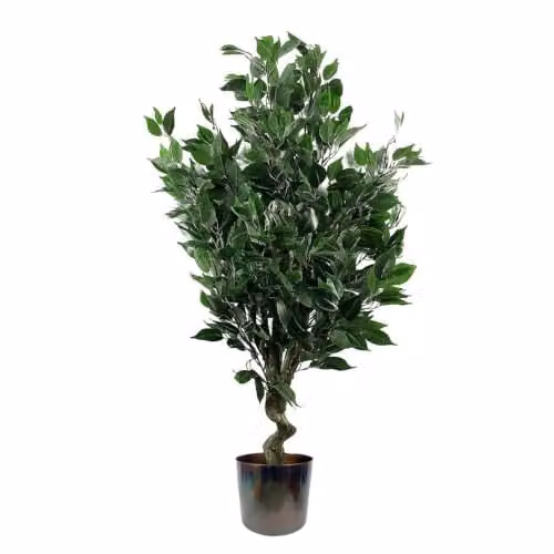 Leaf Realistic Artificial Ficus Tree with Planter, Multicolour, Height: 110 cm – 1