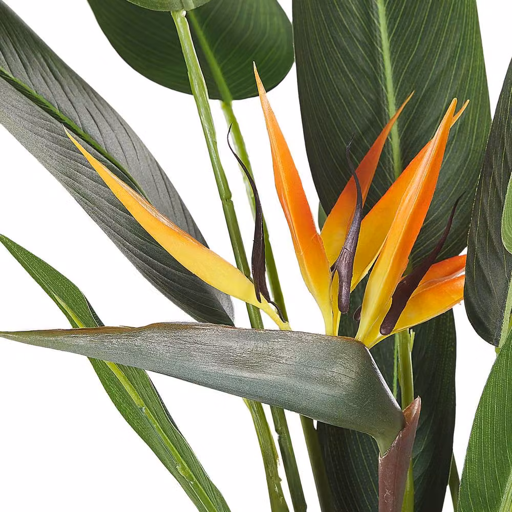 Wyld and Coco Green Strelitzia Artificial Tree with Concrete Base, Height: 115 cm – 4