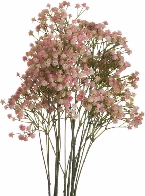 KDMK Pink and White Gypsophila Floral Arrangement