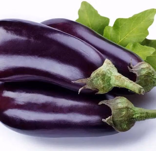 Plants by Post Moneymaker Aubergine Vegetable Plants with Green Foliage and Purple Fruit, 3 x 9cm Pots