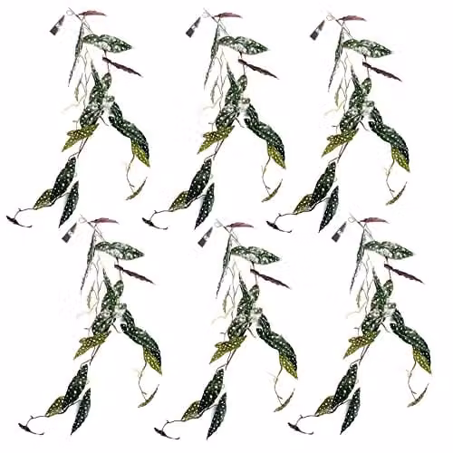 Leaf Design Multipack of 6 Purple and Green Artificial Hanging Trailing Begonia Maculata Spotted Plants, H 110 cm x W 30 cm