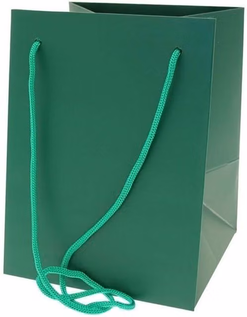 Kingsbury Gifts Dark Green Paper Hand Tie Gift Bag, Height: 25 cm