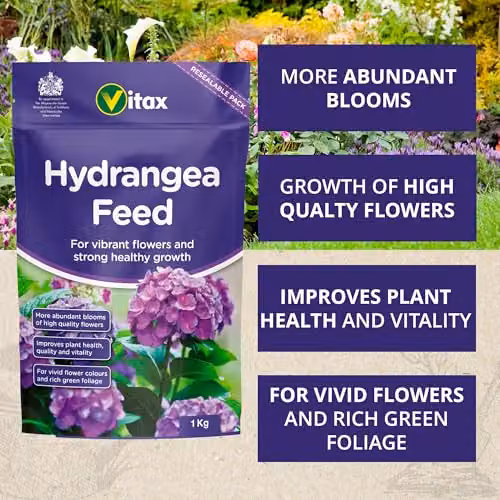 Vitax Hydrangea Plant Tonic Granulate, 1 kg – 2