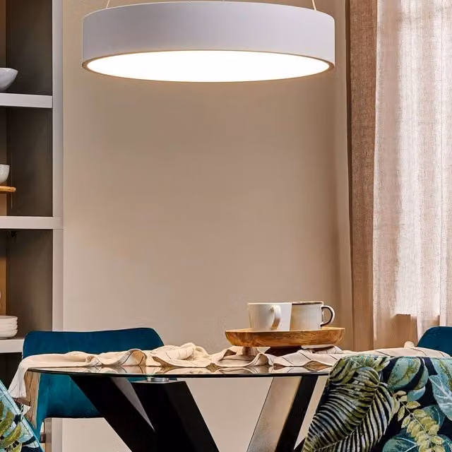 Wyld and Coco White Steel Ring Pendant Lamp with Built-in Dimmable LED