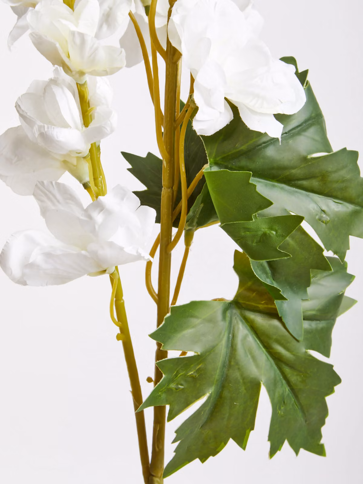 Fiori Orsina White Delphinium Flower Stem, Height: 90 cm – 2