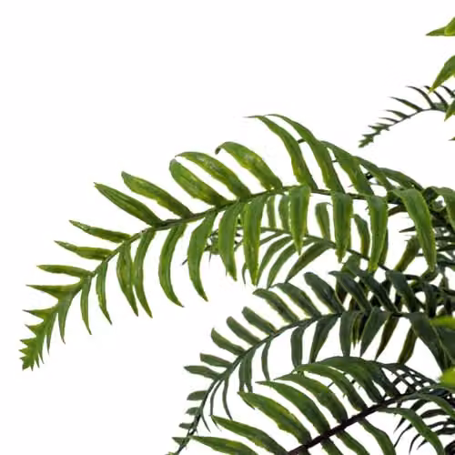 Botanik Organic Artificial Foliage Stems Multipack in Green – 5