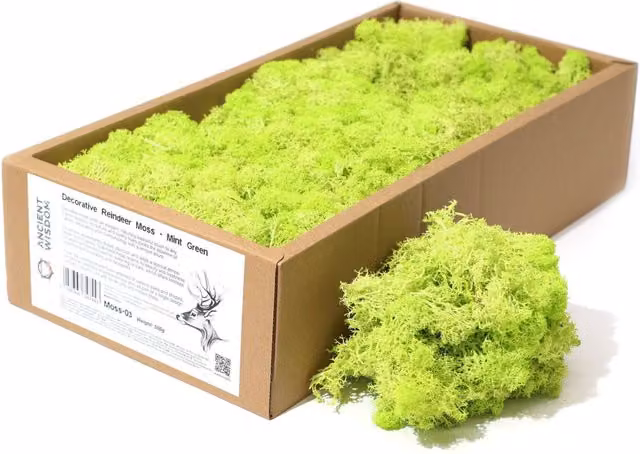 KDMK Organic Decorative Mint Green Reindeer Moss
