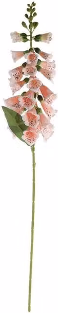 Kingsbury Gifts Artificial Foxglove Stem, Height: 77 cm, Orange, Pink or Green
