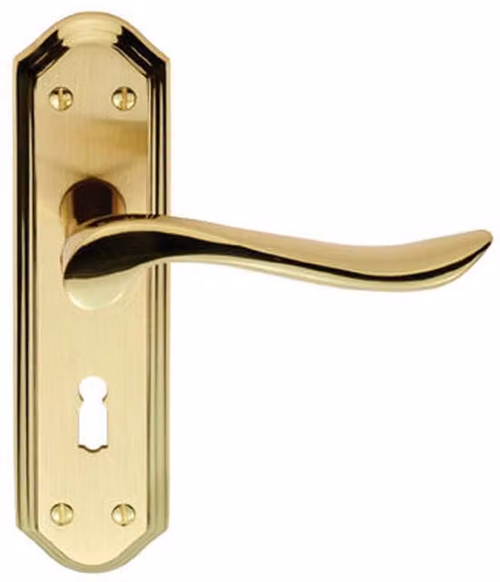 Loops Pair Curved Lever on Sculpted Edge Backplate in Satin and Polished Brass, W: 180 mm x H: 48 mm