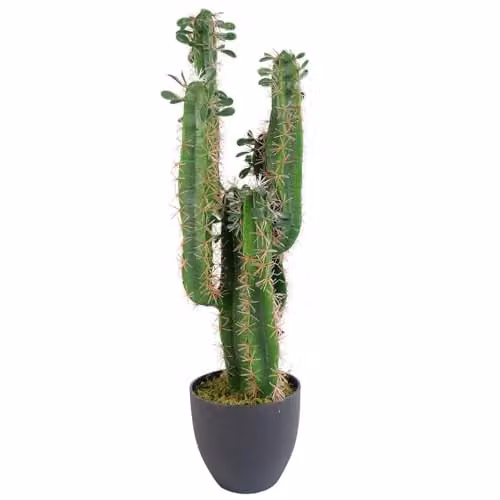 Leaf Design Green Potted Artificial Cactus Succulent, Height: 75 cm – 1