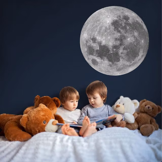Stickerscapes Full Moon Wall Sticker, Grey, Diameter: 64 cm