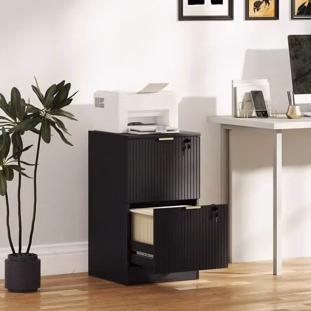 EONLION Black Metal Filing Cabinet with 2 Lockable Drawers