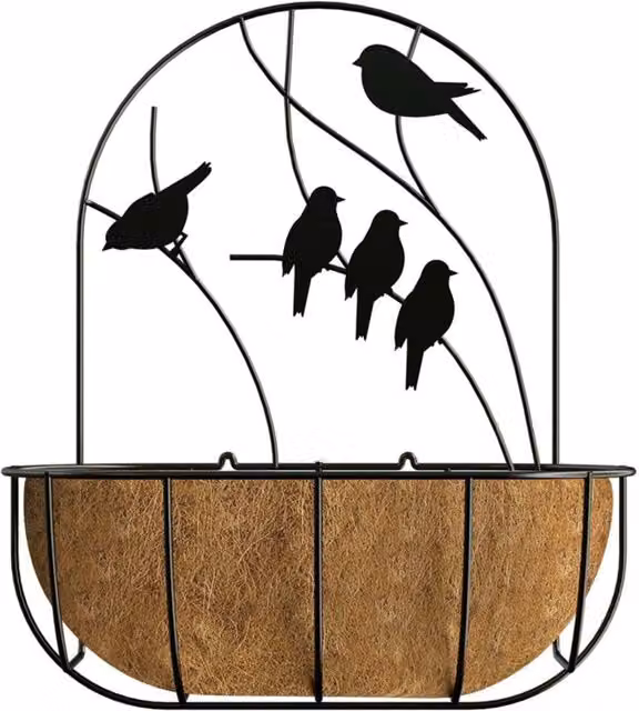 Primrose Perching Birds Wall Mounted Metal Planter with Coco Liner in Black