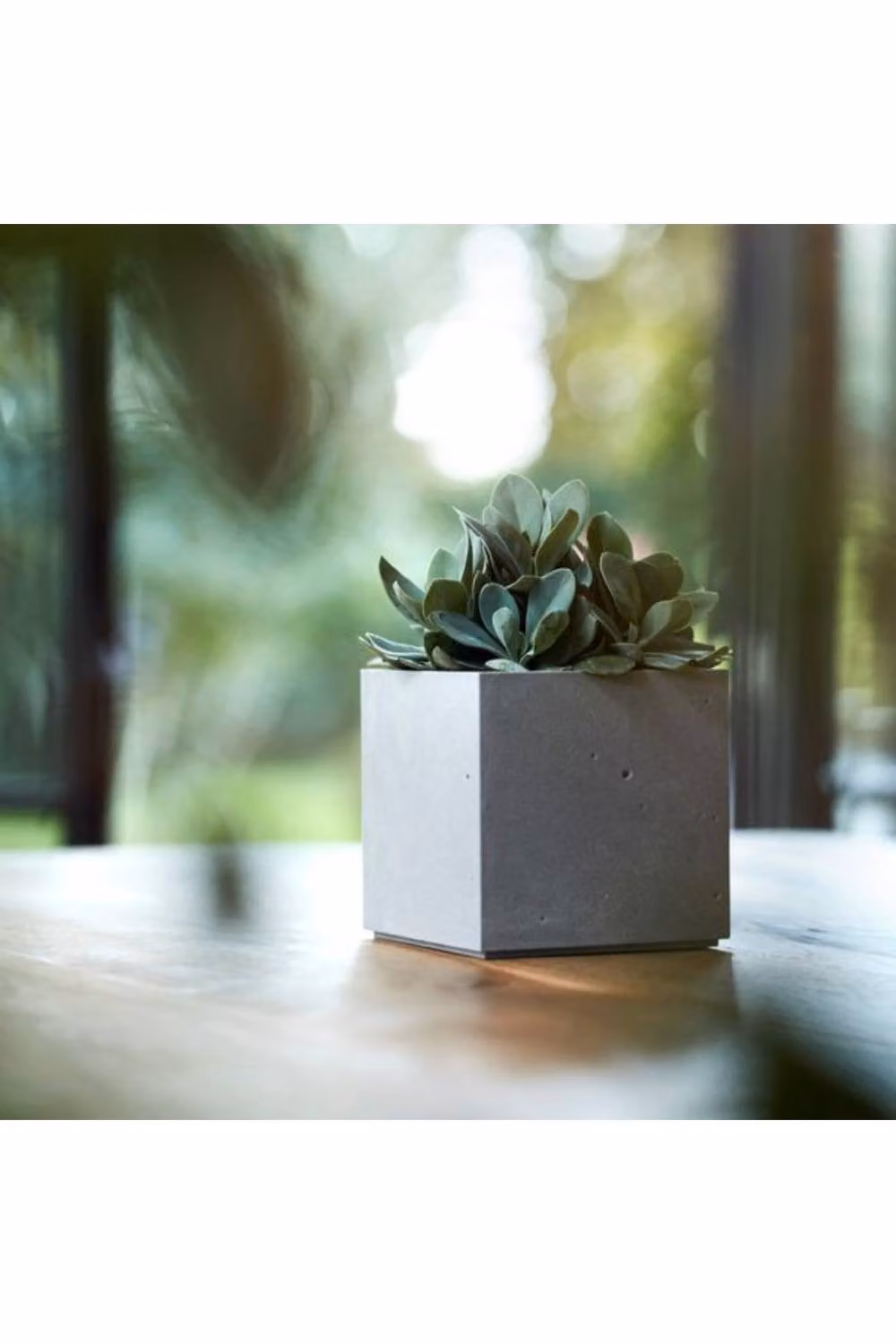 KDMD Grey Beton Cube Outdoor Planter Tub – 2