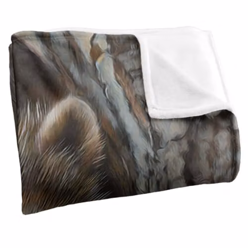 JQ Licensing Two Raccons Silky Touch Super Soft Fleece Throw Blanket, Brown and Multicolour, W/D/H: 91 x 147 cm – 2