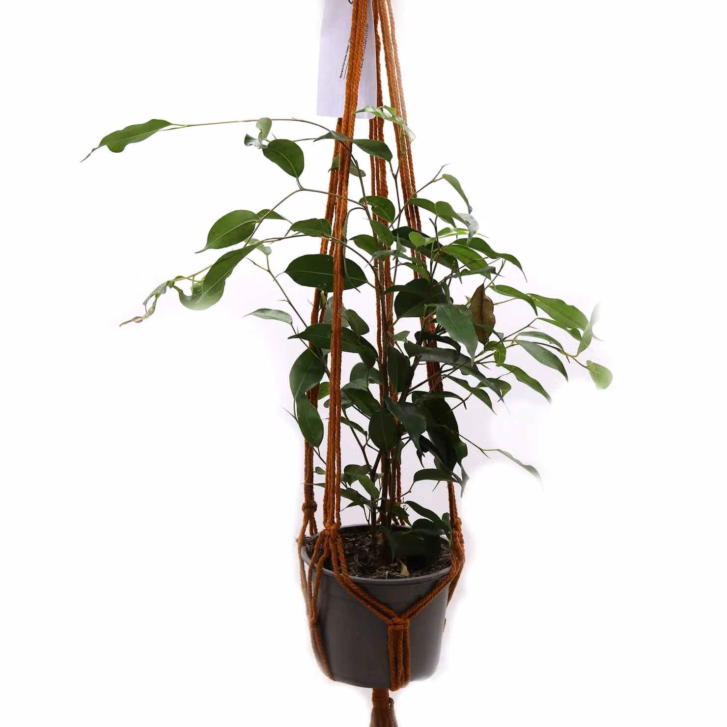 KDMD Classic Macrame Hanging Plant Pot Holder in Brown